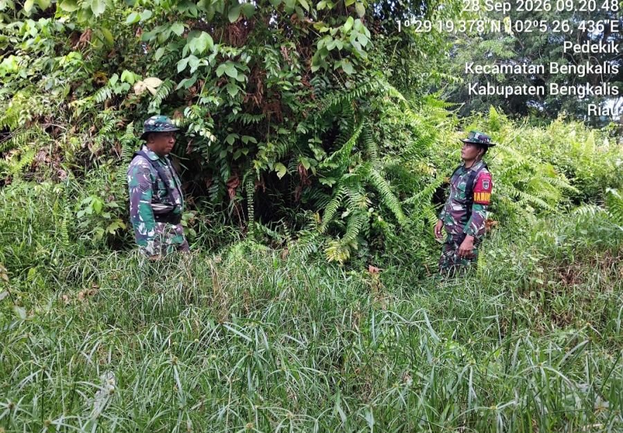 Babinsa Koramil 01 Bengkalis Sertu Syafrizal rutin menghimbau dan sosialisasi dampak kebakaran hutan