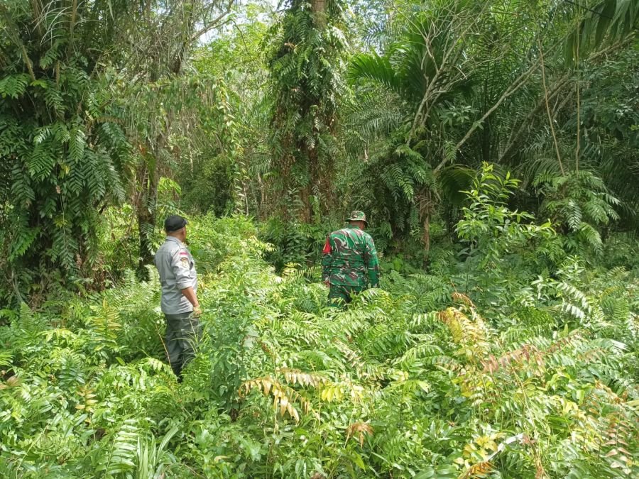 Babinsa Koramil 01 Bengkalis Sertu Syafrizal rutin menghimbau dan sosialisasi dampak kebakaran hutan