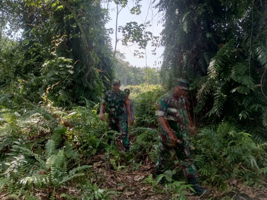 Babinsa Koramil 01 Bengkalis Sertu Syafrizal rutin menghimbau dan sosialisasi dampak kebakaran hutan