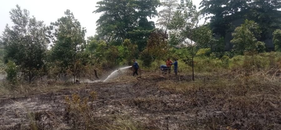 Babinsa Koramil 01 Rumbai Bersama Tim Gabungan Jibaku Padamkan Karhutla di Palas