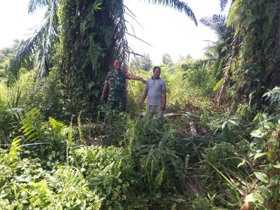 Babinsa Koramil 01 Rumbai dan MPA Patroli Karhutla di Sri Meranti, Nihil Titik Api