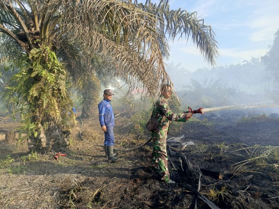 Babinsa Koramil 01 Rumbai Turun Padamkan Karhutla di Palas, Api Hanguskan 1,5 Hektare Lahan