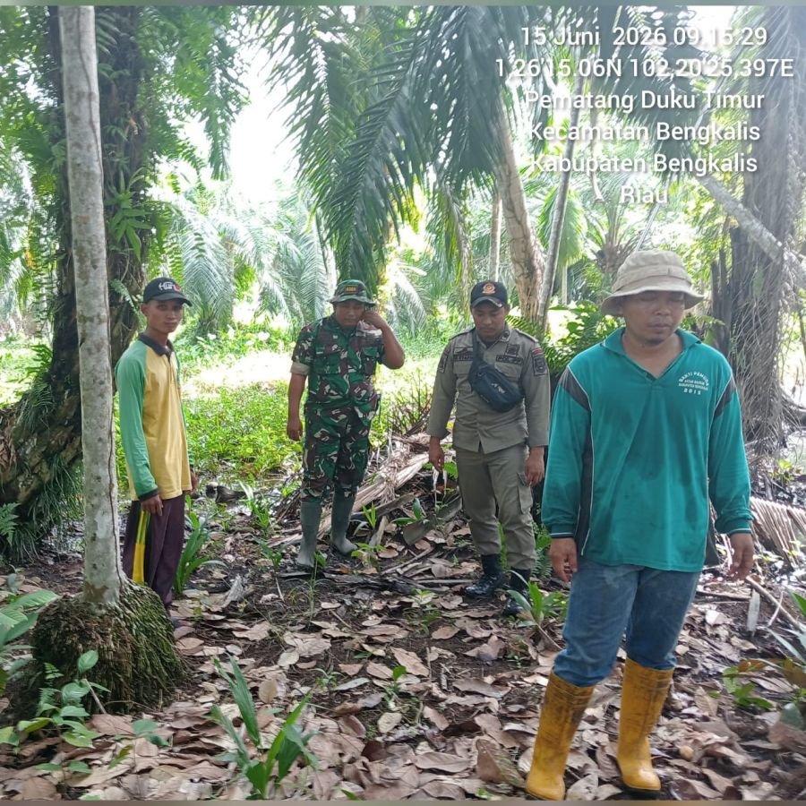 Babinsa Koramil 01/Bengkalis Gencarkan Patroli dan Sosialisasi Karhutla.