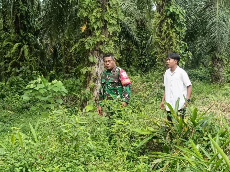Babinsa Koramil 01/Bengkalis Gencarkan Patroli dan Sosialisasi Karhutla.
