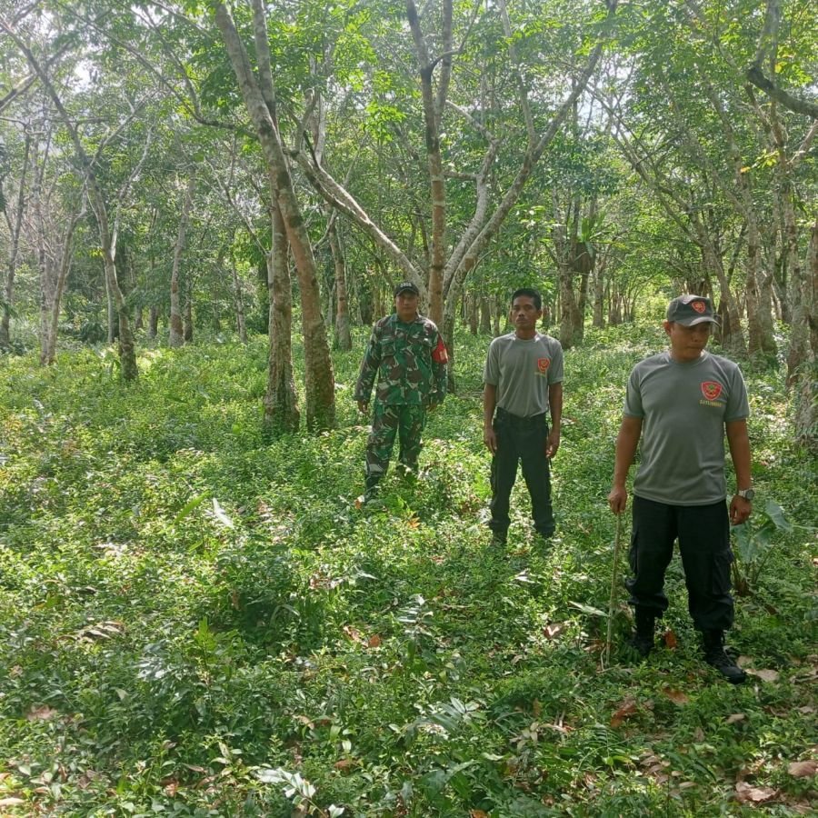 Babinsa Koramil 01/Bengkalis Gencarkan Patroli dan Sosialisasi Karhutla.