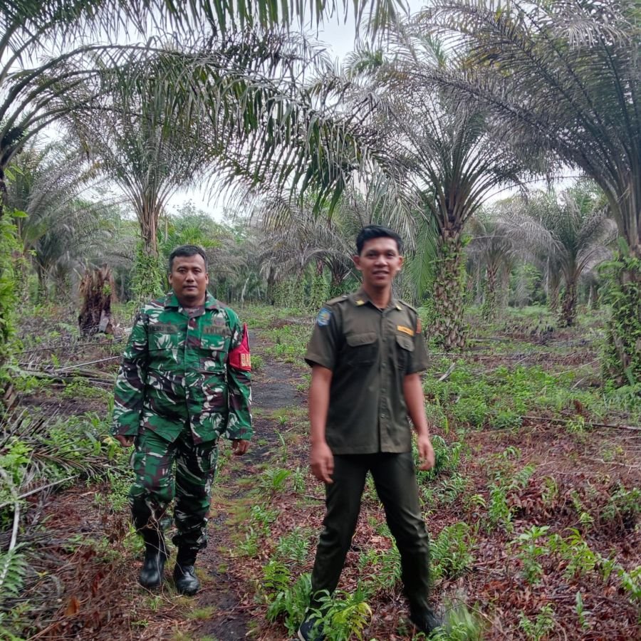 Babinsa Koramil 01/Bengkalis Gencarkan Patroli dan Sosialisasi Karhutla.