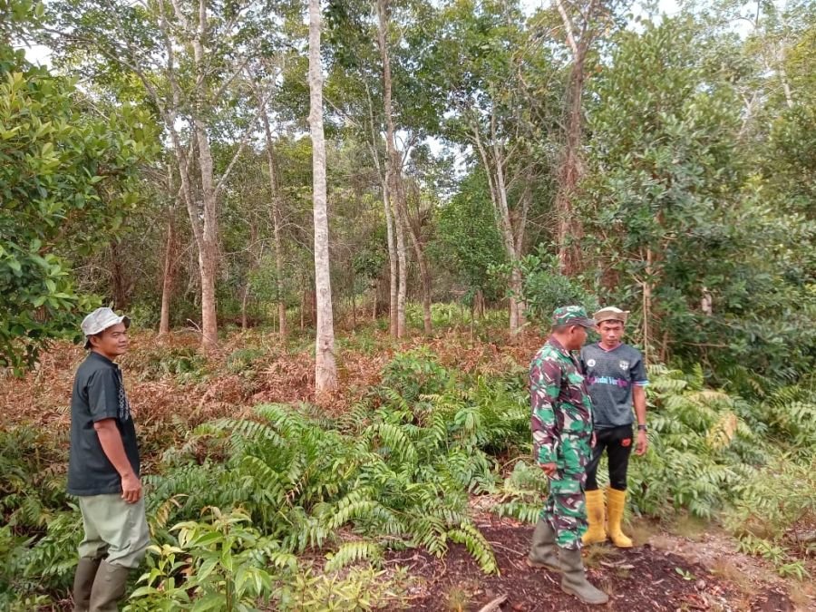 BABINSA KORAMIL 01/BENGKALIS LAKSANAKAN PATROLI DAN SOSIALISASI KARHUTLA DI DESA BERANCAH