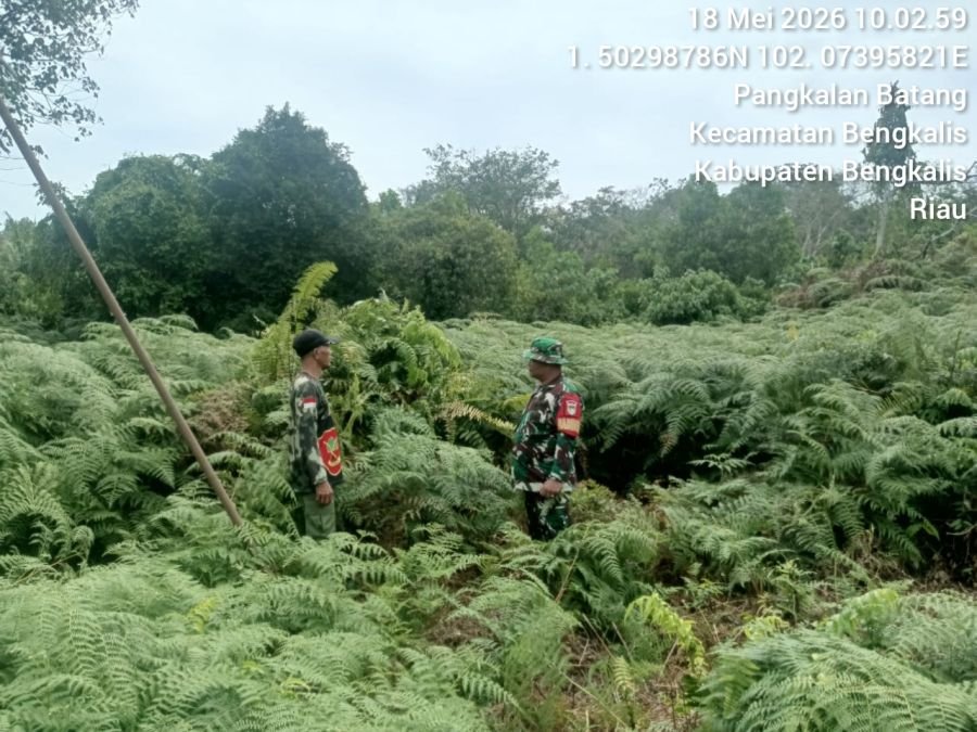 Babinsa Koramil 01/Bengkalis melaksanakan Patroli Karhutla pencegahan dini Kebakaran Hutan dan Lahan