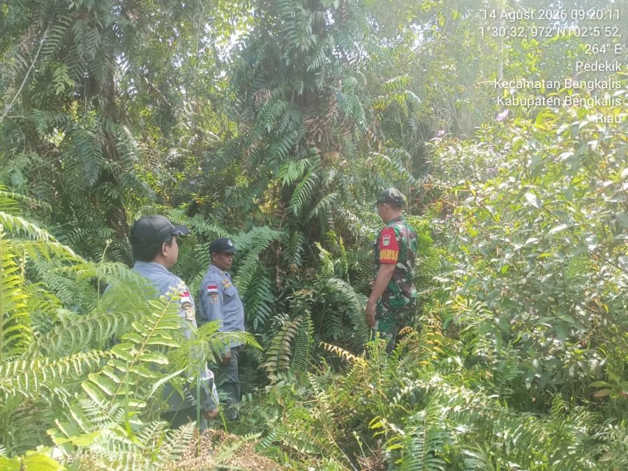 Babinsa Koramil 01/Bengkalis Rutin Melaksanakan Patroli KARHUTLA di Desa Binaan