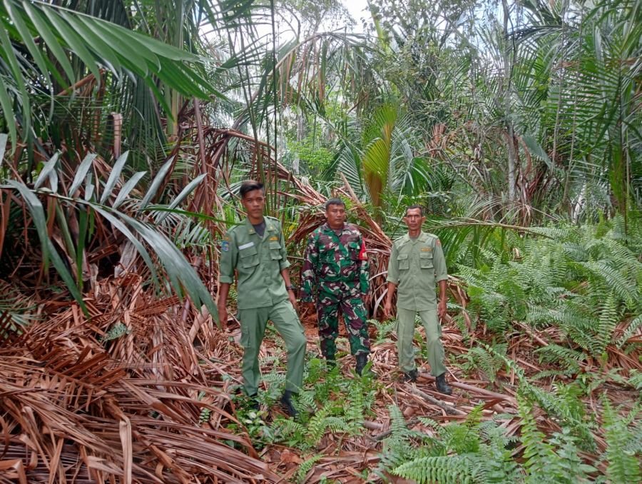 Patroli Karhutla, Babinsa Bengkalis Pastikan Desa Ulupulau Bebas Titik Api