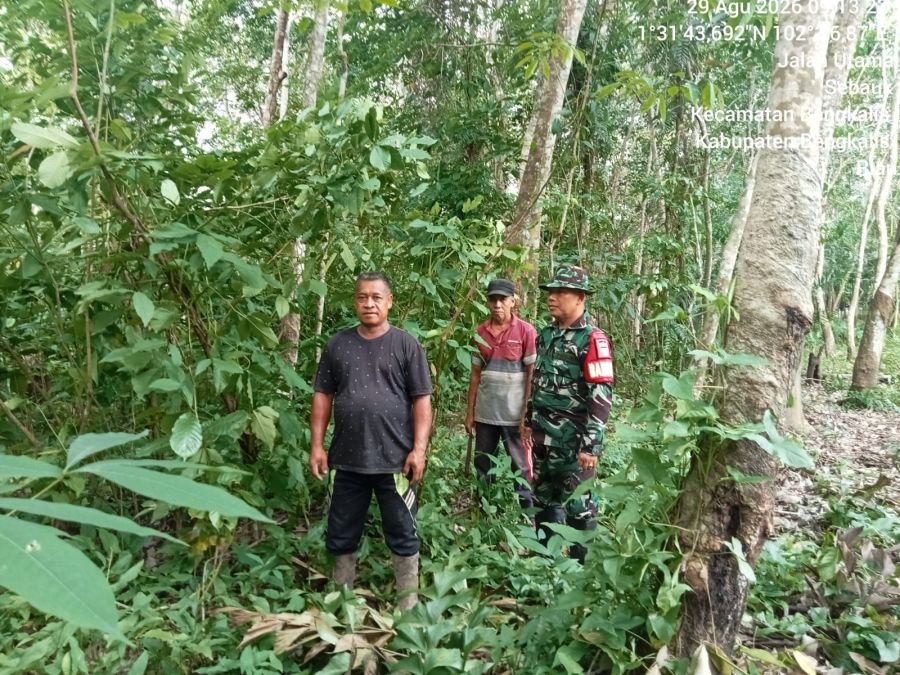 Babinsa Koramil 01/Bengkalis,Serma Rayen Laksanakan Patroli Karhutla di Desa binaan