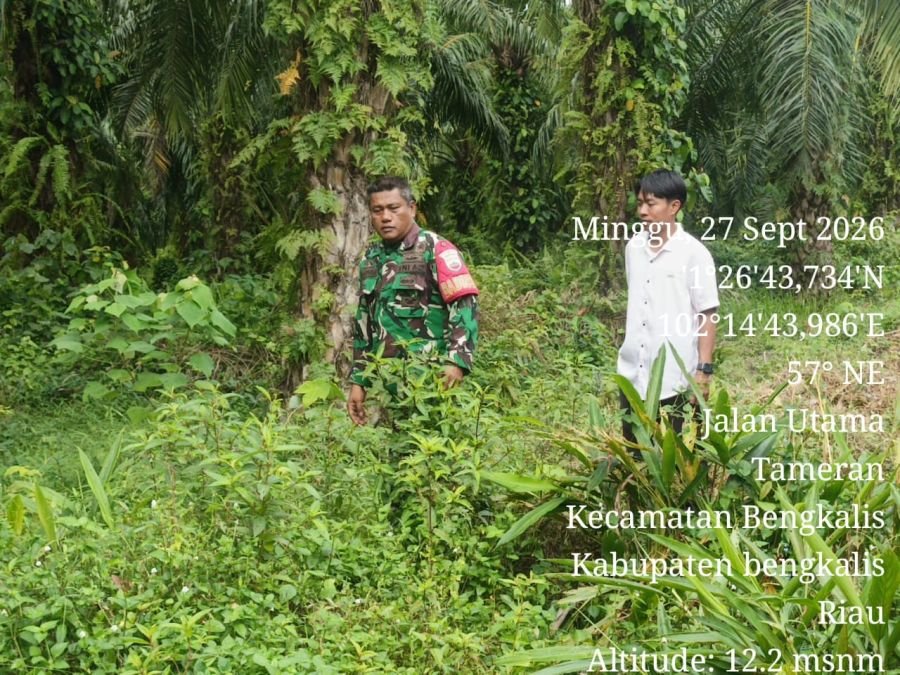 Babinsa Koramil 01/Bengkalis,Sertu S.b.Batubara Laksanakan Patroli Karhutla di wilayah desa binaan