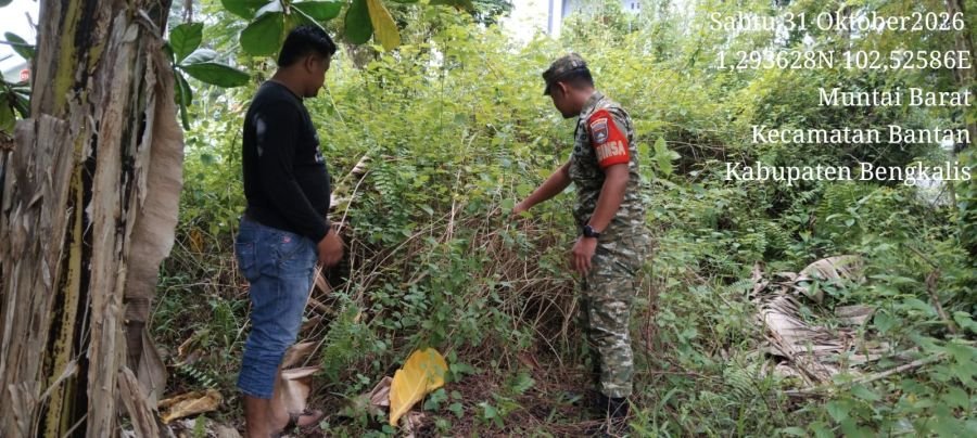 babinsa koramil 01/bkls Pratu govi melaksanakan patroli karhutla di desa muntai