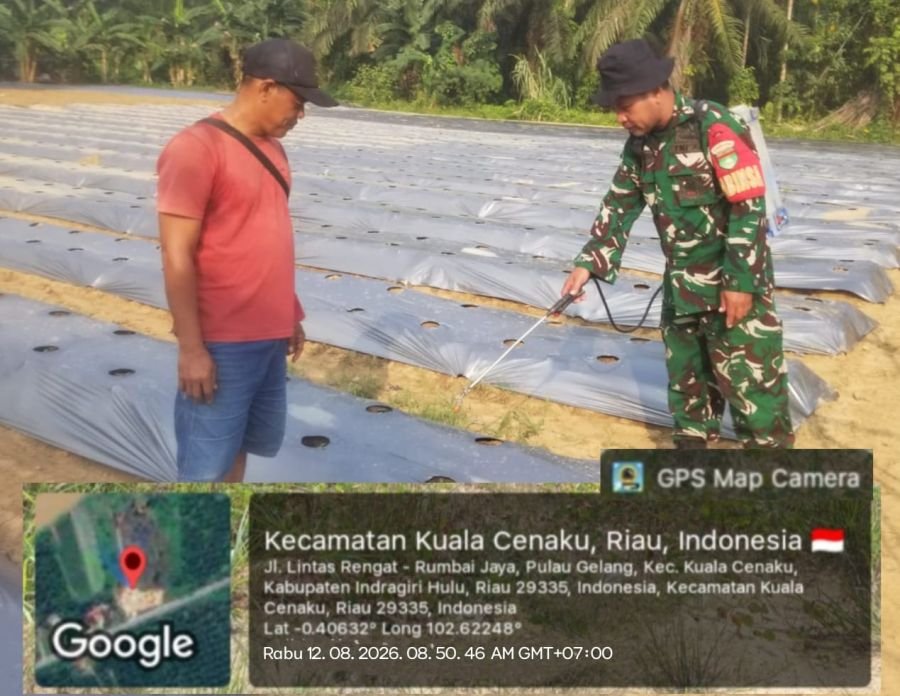 Babinsa Koramil 01/Rengat komsos Dengan Petani Timun