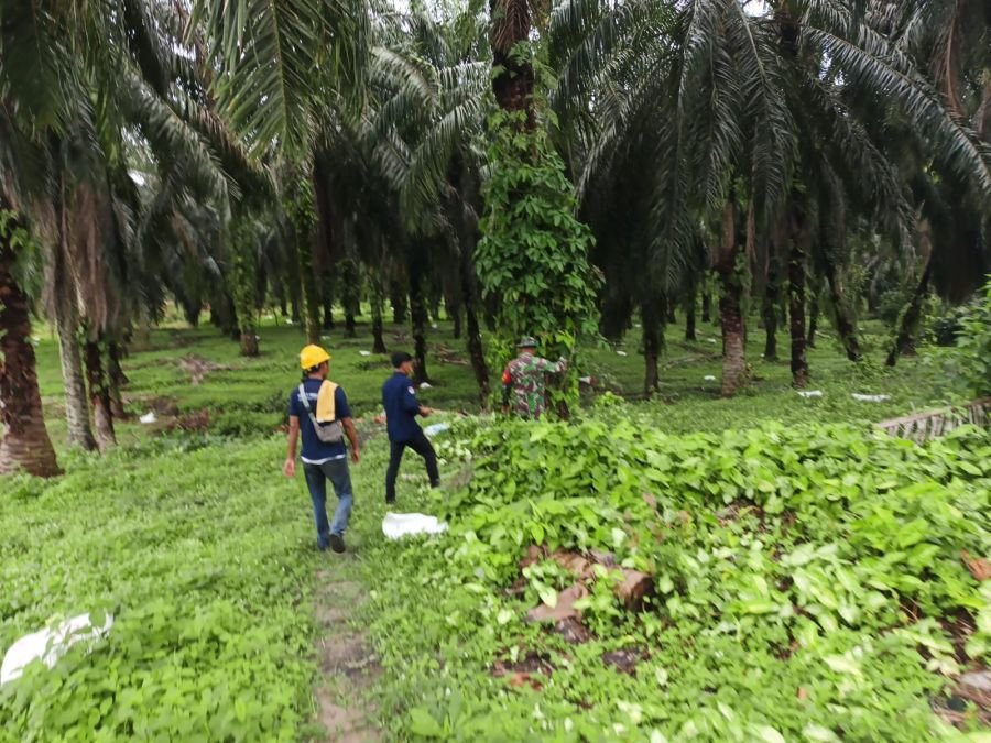 Babinsa Koramil 01/Siak Bergerak Cepat Cegah Karhutla, Sawit Permai Tetap Aman Tanpa Asap