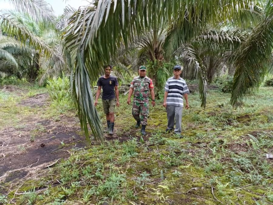 Babinsa Koramil 01/Siak Bersama Warga Tingkatkan Kesiapsiagaan Karhutla di Kampung Tumang