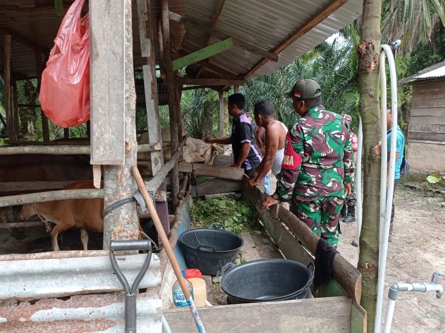 Babinsa Koramil 01/Siak Dampingi KIE dan Vaksinasi PMK di Banjar Seminai