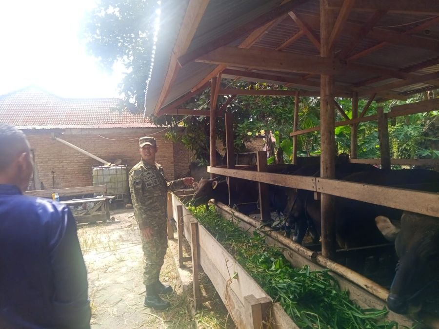 Babinsa Koramil 01/Siak Dampingi Tim URC PMK Laksanakan KIE dan Vaksinasi Ternak di Kerinci Kiri