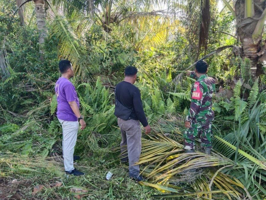 Babinsa Koramil 01/Siak Intensifkan Patroli Karhutla, Rawang Air Putih Nihil Titik Api