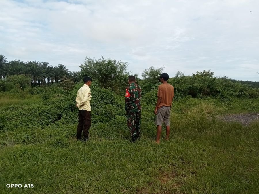Babinsa Koramil 01/Siak Intensifkan Patroli Karhutla, Kerinci Kanan Nihil Titik Api