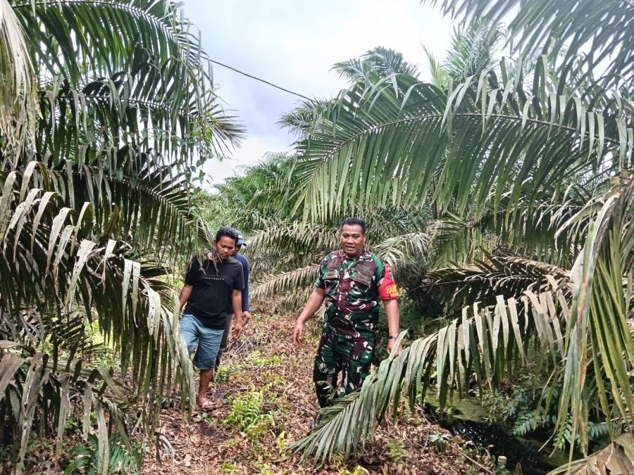 Babinsa Koramil 01/Siak Laksanakan Patroli Karhutla,Antisipasi Titik Api di Kampung Lubuk Dalam