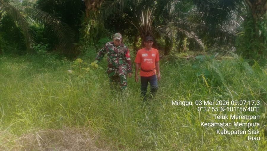 Babinsa Koramil 01/Siak Laksanakan Patroli Karhutla, Teluk Merempan Nihil Titik Api