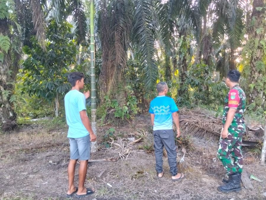Babinsa Koramil 01/Siak Patroli Tanpa Henti, Buatan Besar Dipastikan Aman dari Ancaman Karhutla