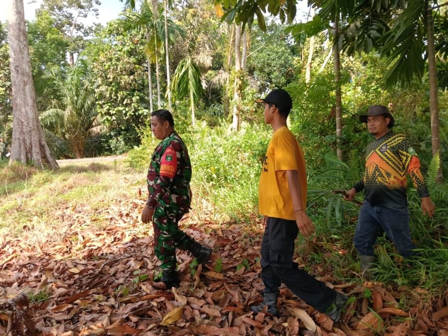 Babinsa Koramil 01/Siak Sisir Wilayah Lubuk Dalam, Pastikan Nihil Titik Api Karhutla