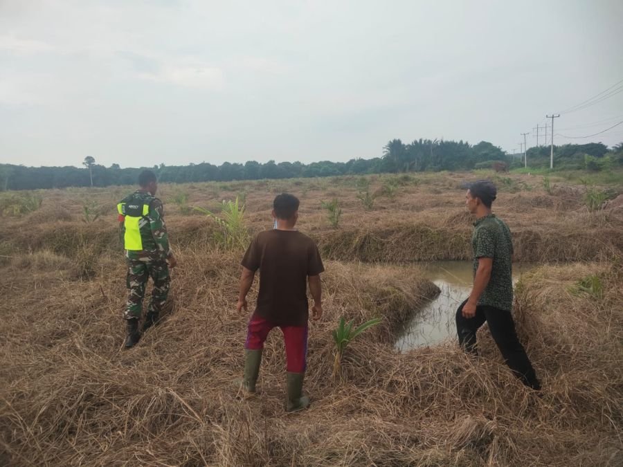 Babinsa Koramil 01/Siak Sisir Wilayah Rawan, Karhutla di Srigading Nihil Titik Api