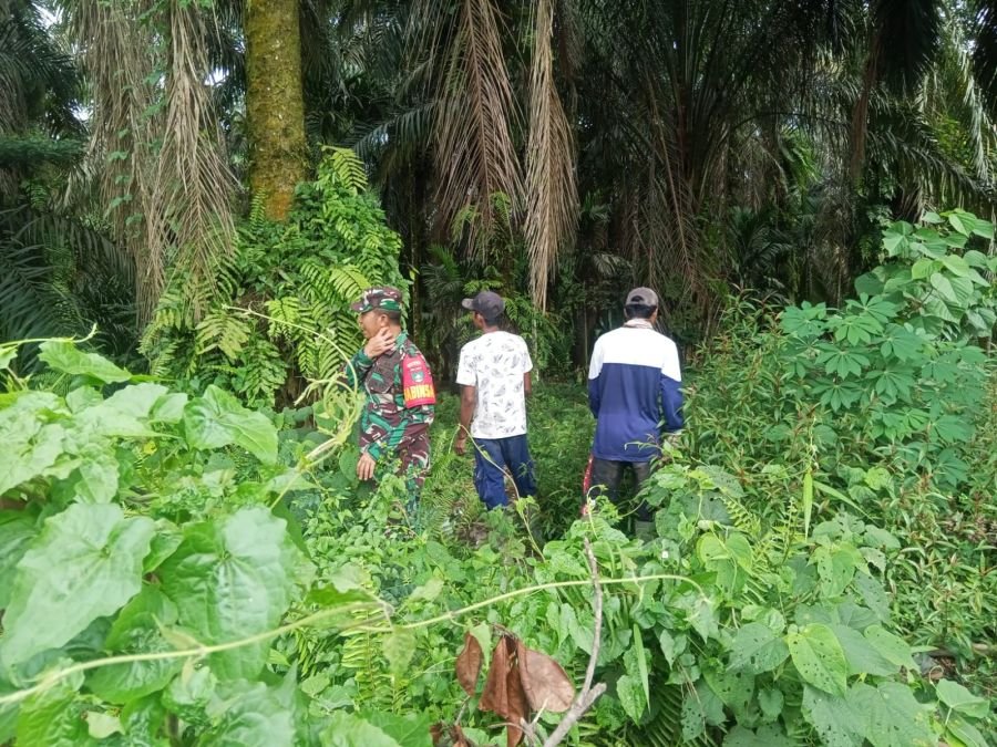 Babinsa Koramil 01/Siak Tingkatkan Kewaspadaan Karhutla di Wilayah Binaan