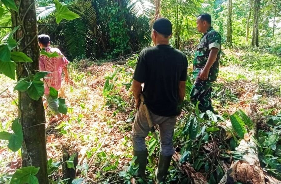 Babinsa Koramil 02 Rambah Kodim 0313/KPR bersama MPA Melaksanakan Patroli Karhutla  
