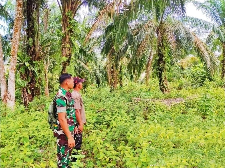 Babinsa Koramil 02 Rambah Kodim 0313/KPR Tingkatkan Pencegahan Karhutla di Kabupaten Rokan Hulu