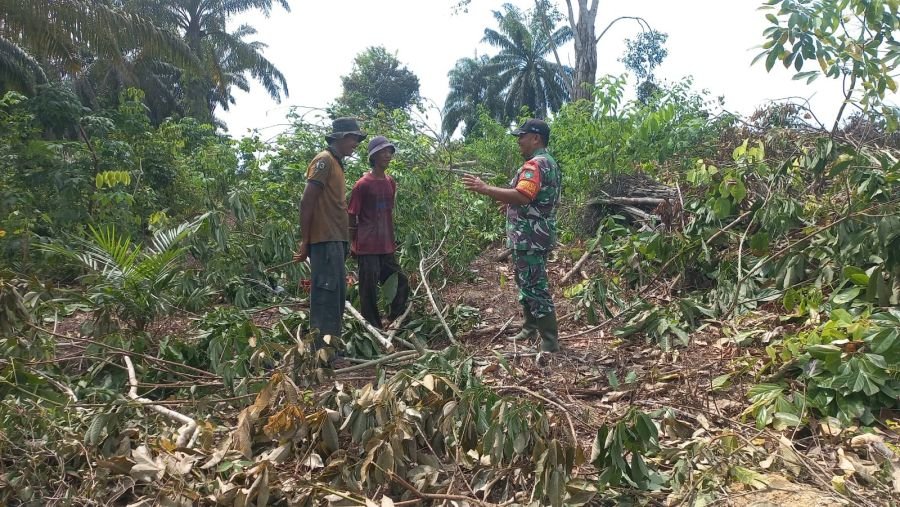 Babinsa Koramil 02/Bukit Kapur Intensifkan Patroli Karhutla, Tingkatkan Kewaspadaan Masyarakat di Bu