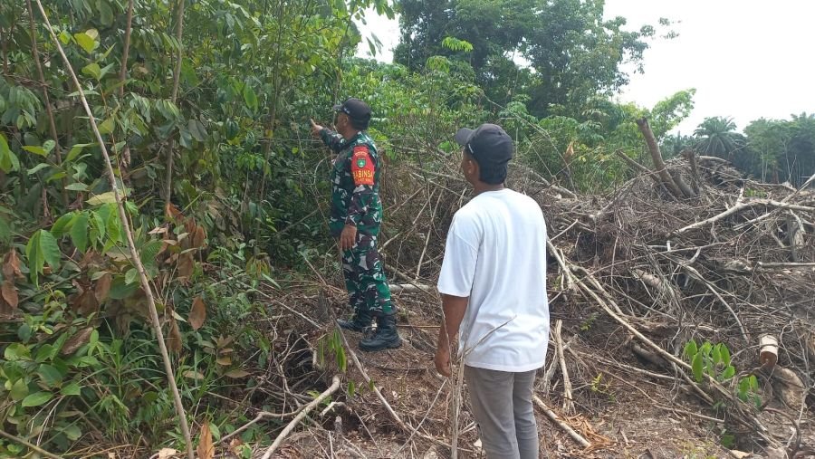 Babinsa Koramil 02/Bukit Kapur Intensifkan Patroli Karhutla di Kelurahan Bukit Nenas