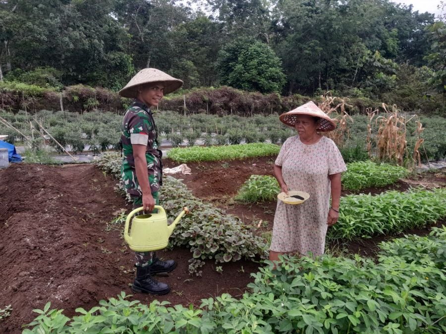 Babinsa Koramil 02/KT Dampingi Penanaman Bayam untuk Perkuat Ketahanan Pangan