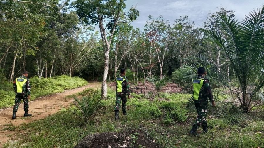 Babinsa Koramil 02/KT Patroli Cegah Karhutla di Koto Sentajo