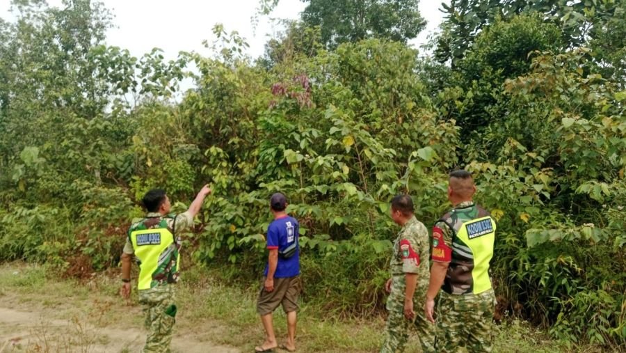 Babinsa Koramil 02/KT Patroli Cegah Karhutla di Koto Kari