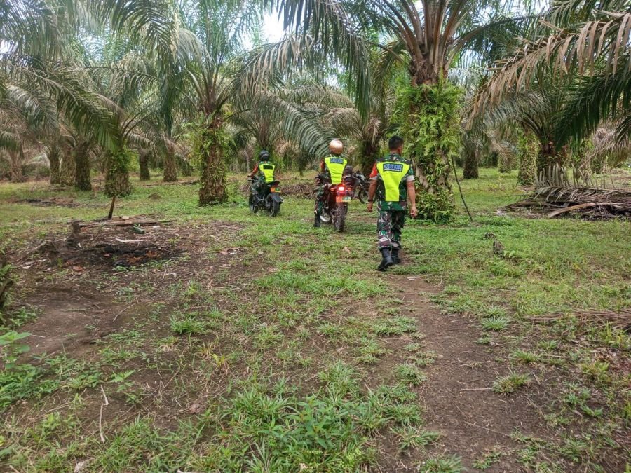 Babinsa Koramil 02/KT Perkuat Patroli Karhutla di Pulau Banjar Kari