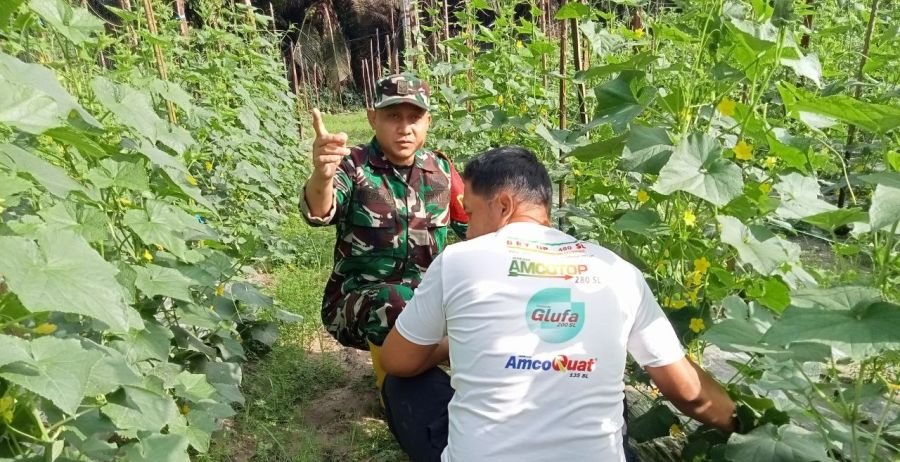Babinsa Koramil 02/KT Perkuat Pendampingan Hanpangan di Langsat Hulu