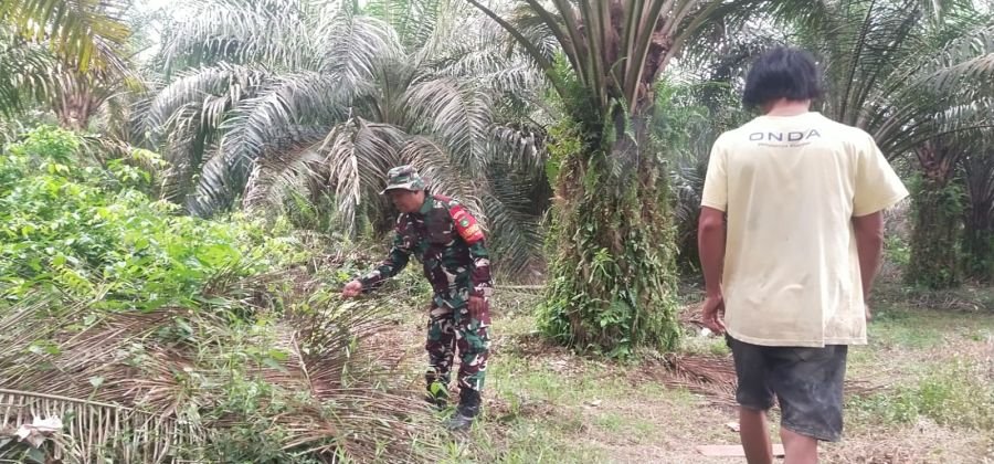 Babinsa Koramil 02/SA Patroli Karhutla, Pastikan Wilayah Pusako Aman