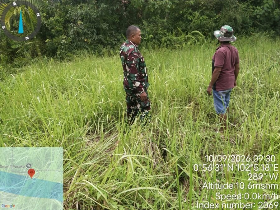 Babinsa Koramil 02/SA Patroli Karhutla, Kampung Dosan Nihil Titik Api