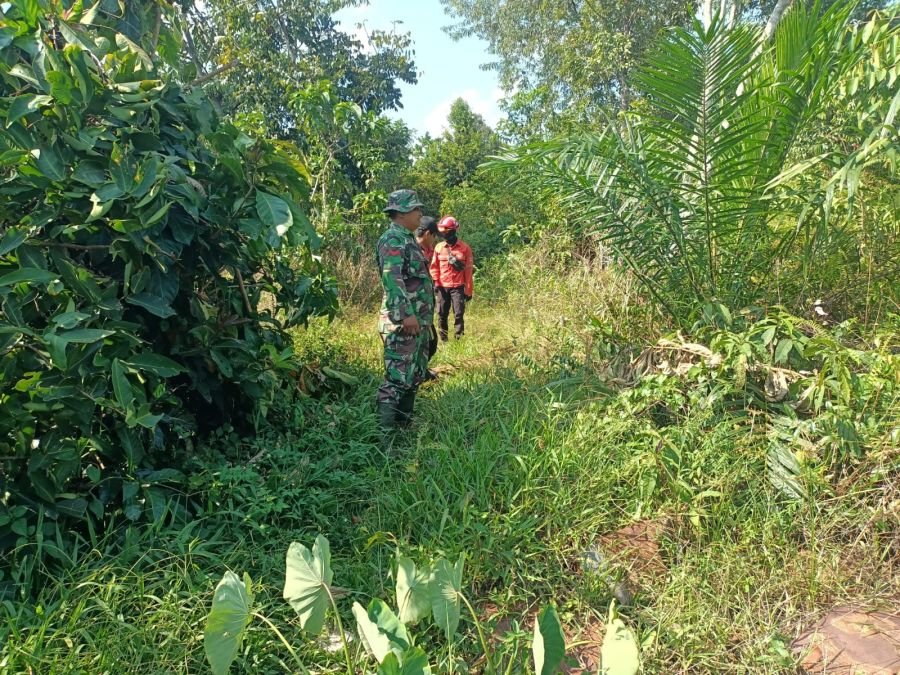 Babinsa Koramil 02/Sungai Apit Intensifkan Patroli Karhutla, Wilayah Kampung Dosan Dipastikan Aman