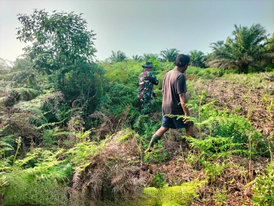 Babinsa Koramil 02/Sungai Apit Intensifkan Patroli Karhutla di Kampung Sungai Rawa, Situasi Wilayah