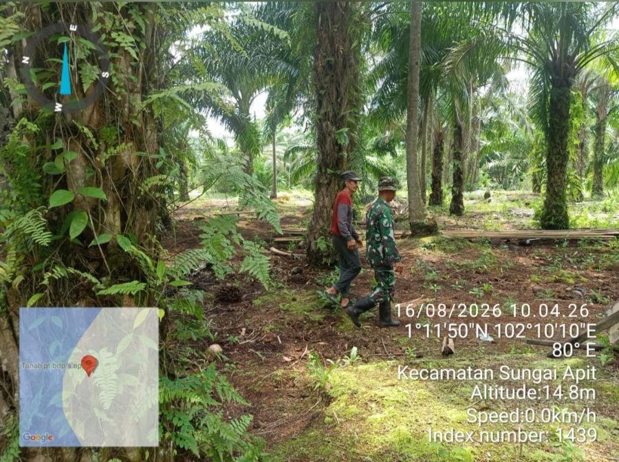 Babinsa Koramil 02/Sungai Apit Patroli Karhutla, Pastikan Tidak Ada Titik Api