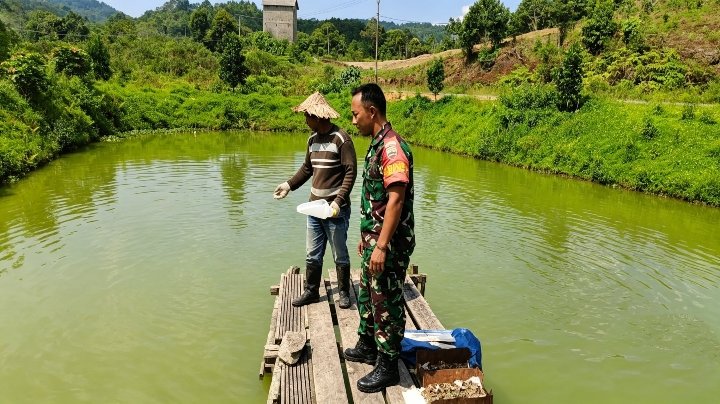 Babinsa Koramil 02/Tarempa Komsos dengan Peternak Ikan Nila, Dukung Ketahanan Pangan Masyarakat