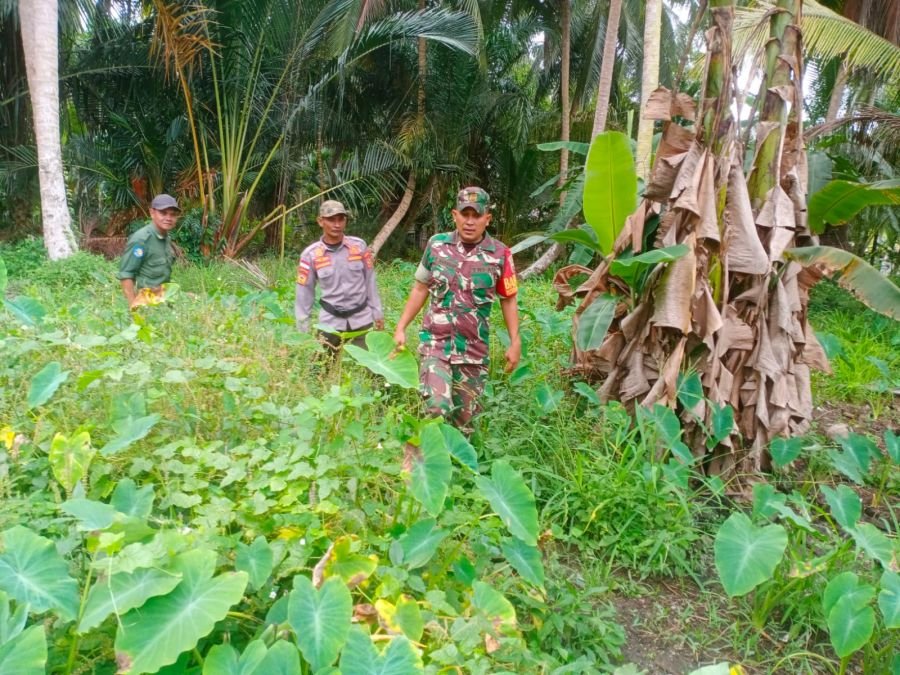 Babinsa Koramil 02/Tebing Tinggi Bersama Warga Patroli Karhutla, Pastikan Desa Melai Aman dari Api