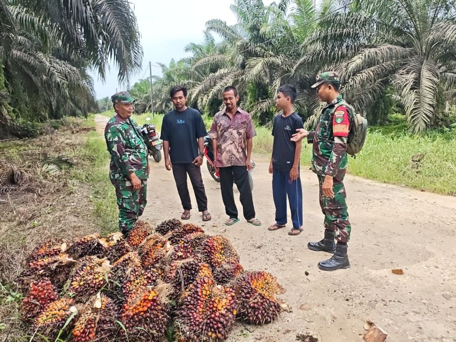 Babinsa Koramil 03/Bunut Patroli Kebun Warga, Cegah Karhutla di Desa Merbau