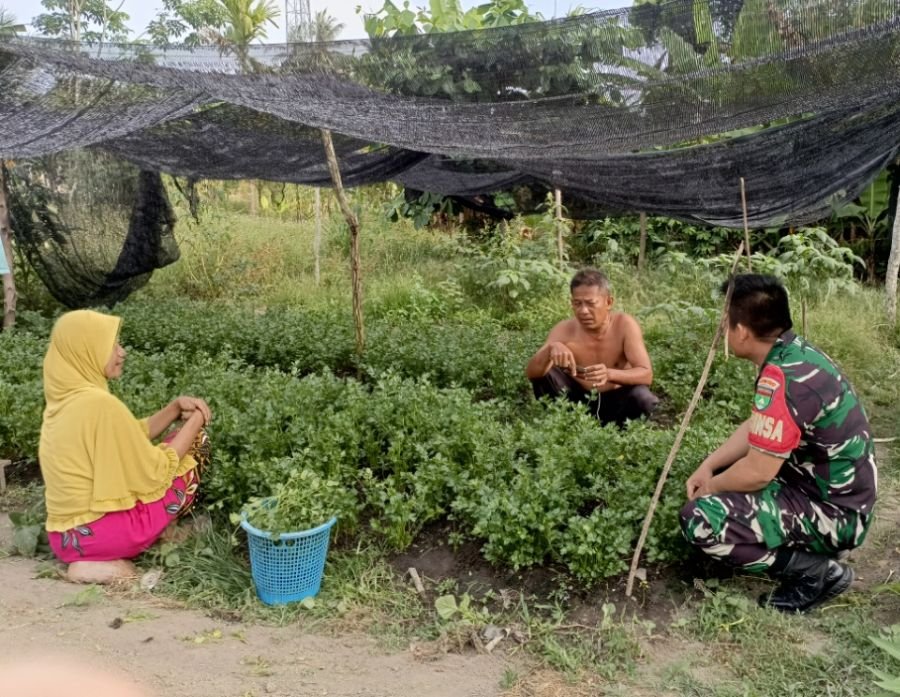 BABINSA KORAMIL 03/KUNDUR JALIN SILATURAHMI DAN DORONG KETAHANAN PANGAN MELALUI KOMSOS DI KELURAHAN