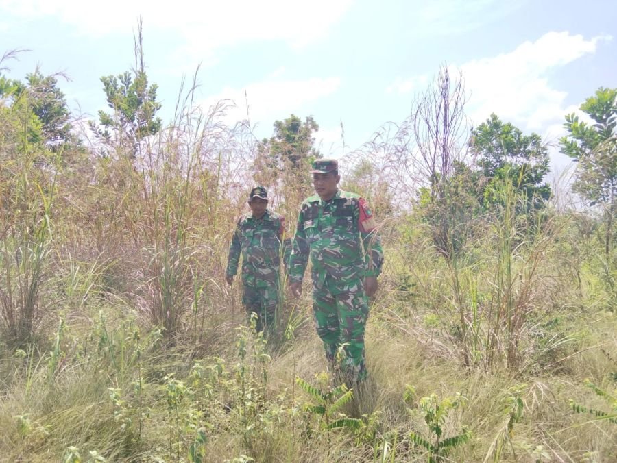 Babinsa Koramil 03/Mandau Gelar Patroli Karhutla di Pematang Pudu, Nihil Titik Api