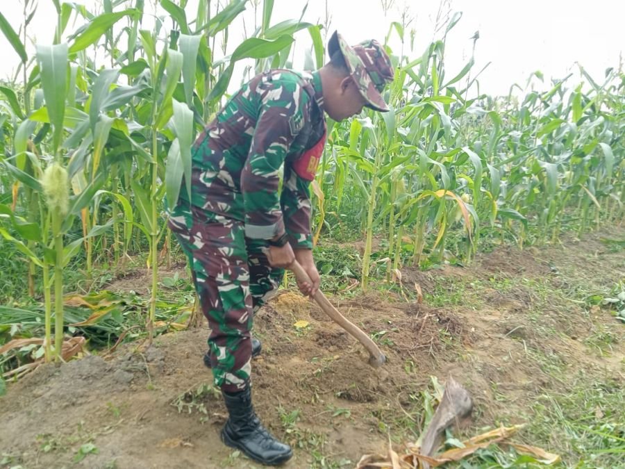 Babinsa Koramil 03/Mandau Laksanakan Hanpangan dan Perawatan Tanaman di Ecopark Simpang Bangko
